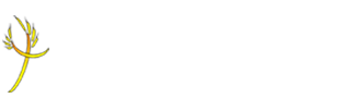 Hayfield Cross CofE Primary School